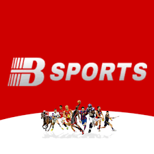 必一·运动(BSports)官方网站